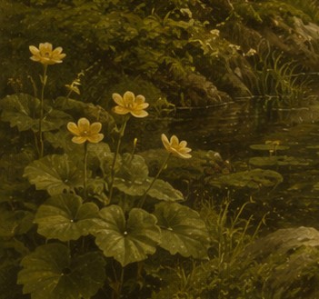 Zarte Blüten am Wasserrand